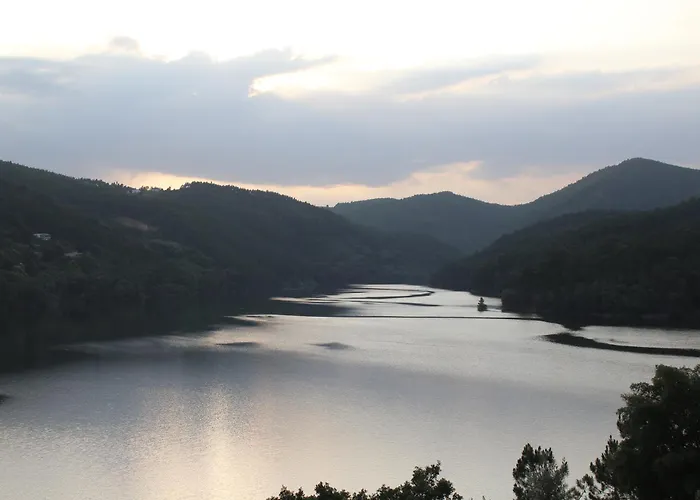 Prata Dourada Ferreira do Zezere